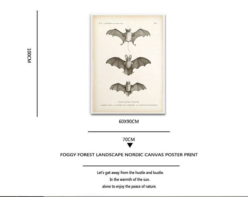 Vintage Bat Print Halloween Wall Art Canvas